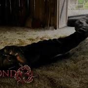 Eaten Alive By Giant Snake Anaconda 3 Offspring Creature Features