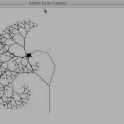 Python Turtle Fractal Tree Asimmetrycal