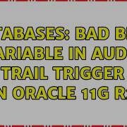 Databases Bad Bind Variable In Audit Trail Trigger In Oracle 11g R2