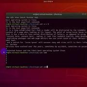 How To Use Cat Tac Command In Linux Terminal Basic Linux Commands Cat Tac Command In Linux
