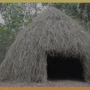Primitive Technology Grass Hut