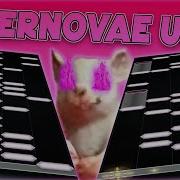 Malody SUPERNOVAE UBER SOLO TECH FC