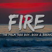 Palm Monkey The Palm Tree Boy Boix Breakloop VANDR FIRE Lyrics