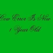 Cow Error 534 Cow Error Is 1 Year Old