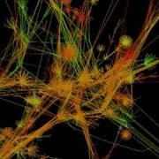 Vtk Visualization Python