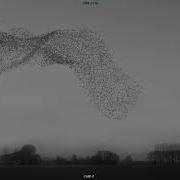 3D Birds Flocking