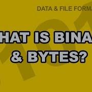 Data File Formats 01 What Is Binary Bytes