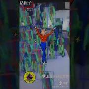 CHINESE GAIT RECOGNITION
