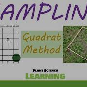 Quadrat Method Sampling