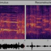 Sound Reconstruction From Human Brain Activity Park Et Al 2023 S1