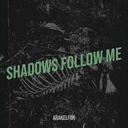 Shadows Follow Me