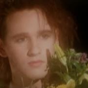This Mortal Coil Kangaroo Official Video