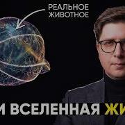 Где заканчивается ЖИВОЕ и начинается ИНОЕ Безумные научные идеи