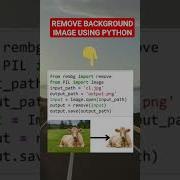 Remove Image Backgrounds Using Python Removebackground Python Pythontutorial