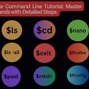 Lab 12 Become A Linux Command Line Pro Master Basic Commands With Step By Step Instructions