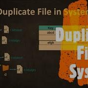 Find Duplicate File In System LeetCode 609 Coders Camp
