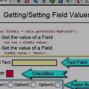 PDF Form Field Scripting Basics