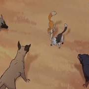 Never Be Alone Swiftpaw Warrior Cats MAP