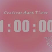 1 Hour Silent Study Timer Soft Alarm Only Pink Aesthetic ADHD Friendly