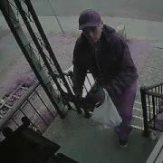 Package Robbery In North Riverdale Toronto Feb 5 2016 3 21pm