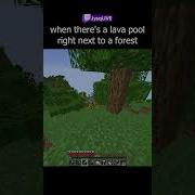 When You Find A Forest Fire In Minecraft