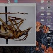 Review Of Celestron Digital Microscope Pro Part 2 Of 2