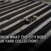 Do You Know What The City Does With Your Yard Waste Collection