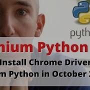 How To Install Chrome Driver For Selenium Python In October 2022