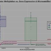 Extremely Thorough Boxplot Tutorial Ggplot In R