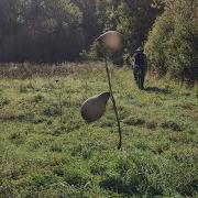 Colt Single Action Army Review Schusstest Diabolo Pellt Version