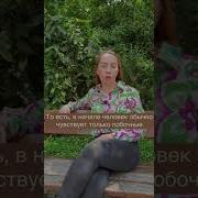 Сколько нужно пить антидепрессанты депрессия лечениедепрессии антидепрессант психиатрия всд