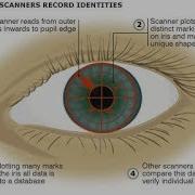What Is IRIS RECOGNITION TECHNOLOGY What Does IRIS RECOGNITION Mean