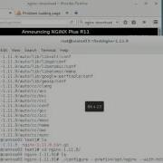 Installing NGINX On Linux From Source