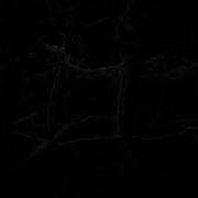 RainWorld Watcher Spoilers Empty Abyss Ambience