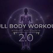 Full Body Workout Version 2 Morphic Field
