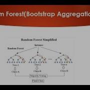 Random Forest Bootstrap Aggregation Easily Explained