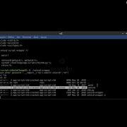 Root Me App Script Python Input