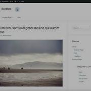 WordPress Sidebar Menu Items Plugin Demo