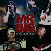 Introducing The Band Live