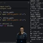 COMP2041 COMP9041 Input And Output In Perl