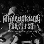 FURYFEST 2019 MALEVOLENCE FULL SET