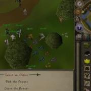 Fping Nert With Retards Episode 1 My Bank Almost Being Depleted