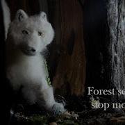 Making Of Forest Set For Stop Motion