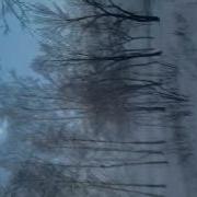 Video 2013 02 15 09 23 18