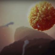 Fertilization
