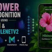 Flower Recognition Using CNN MobileNet And Transformer
