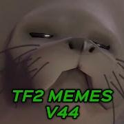 TF2 MEMES V44