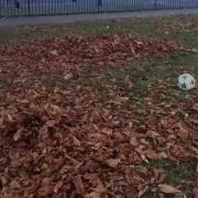 Leaf Explosion In Slow Mo 1200 FPS