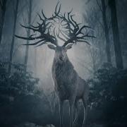 Shadow And Bone Chapter 3