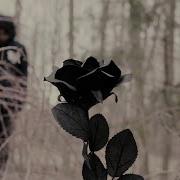 Never Easy Show Me Official Video